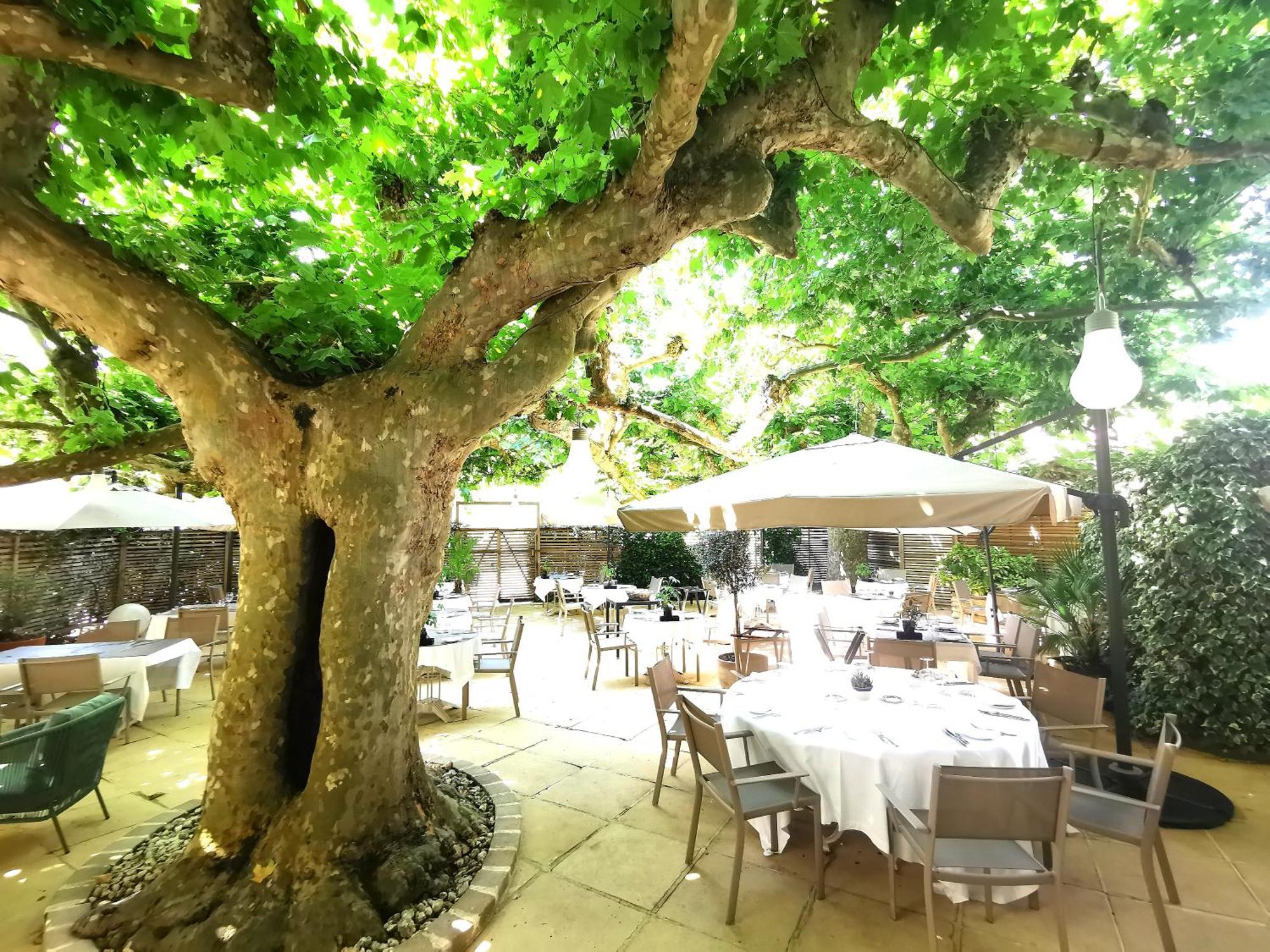 Logis Hotel - Restaurant Maison Claude Darroze Langon  Dış mekan fotoğraf